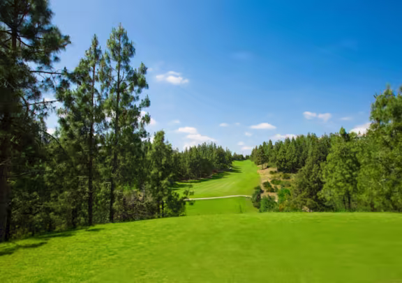 Image Chaparral Golf Club